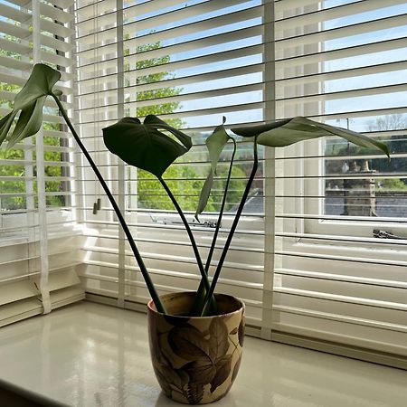 Top Floor Double En-Suite Br Apartment Central Matlock Matlock  Luaran gambar