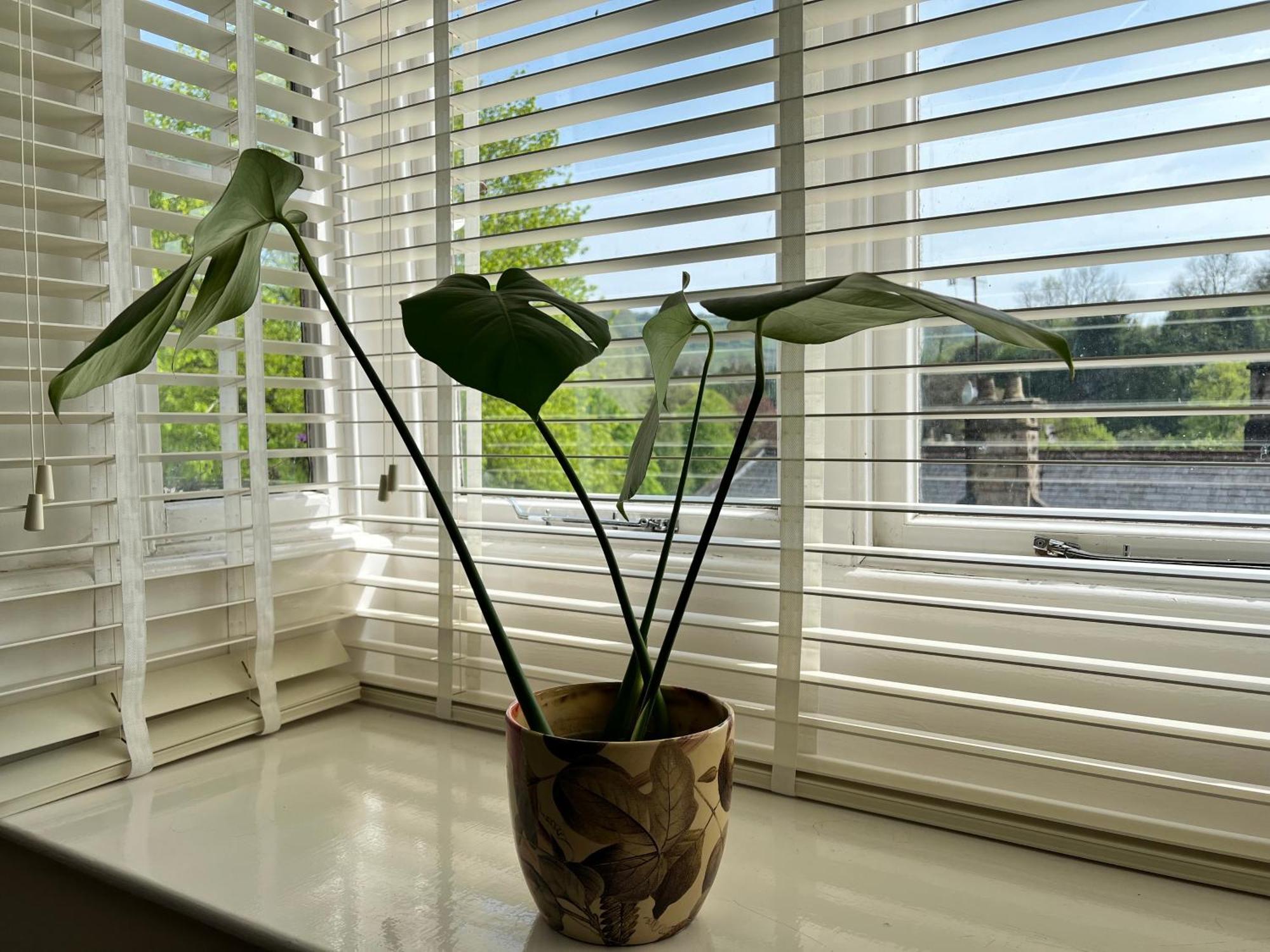 Top Floor Double En-Suite Br Apartment Central Matlock Matlock  Luaran gambar